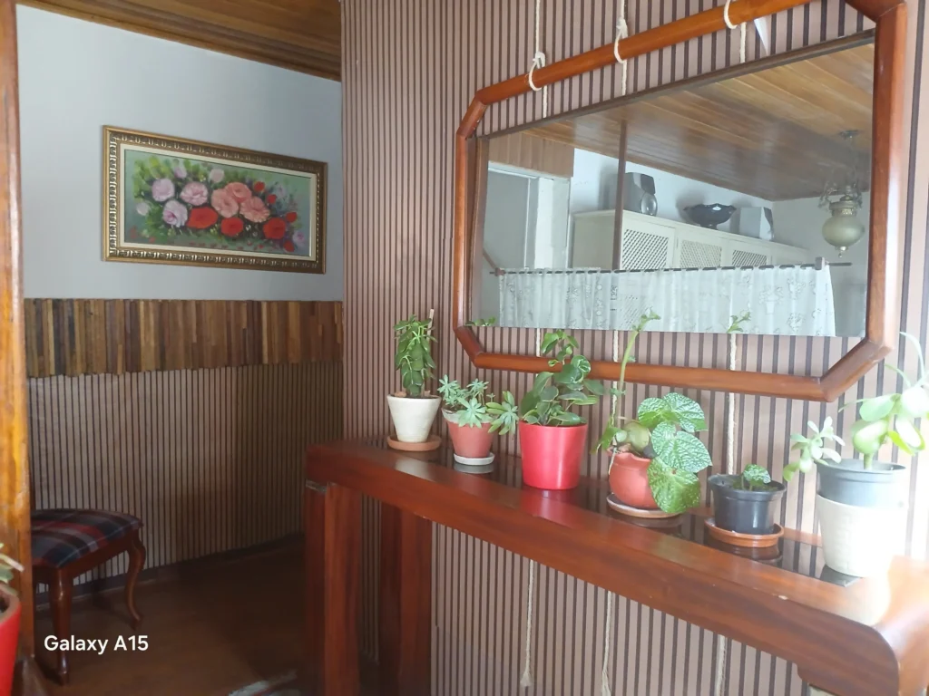 Casa da Dine Campos do Jordao pousada barata area externa 21