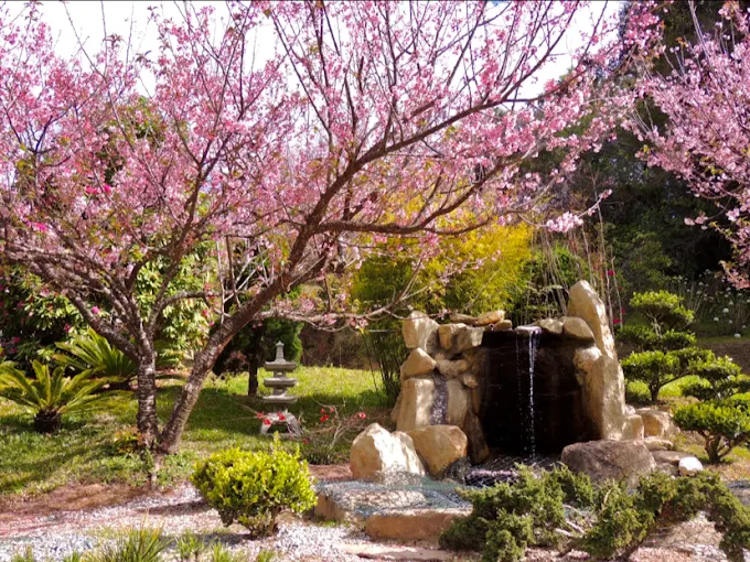 Casa da Dine | Pousada Aconchegante perto do Parque das Cerejeiras 5 unnamed